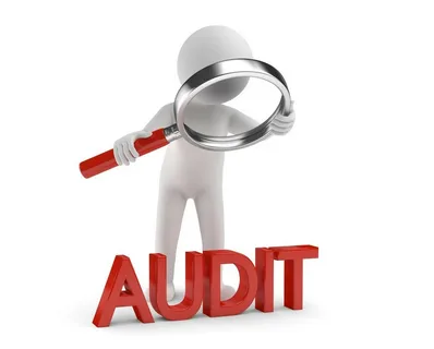 Даже при наличии у фирмы только одной хозоперации на аудит уйдет неделя, подсчитала СРО ААС