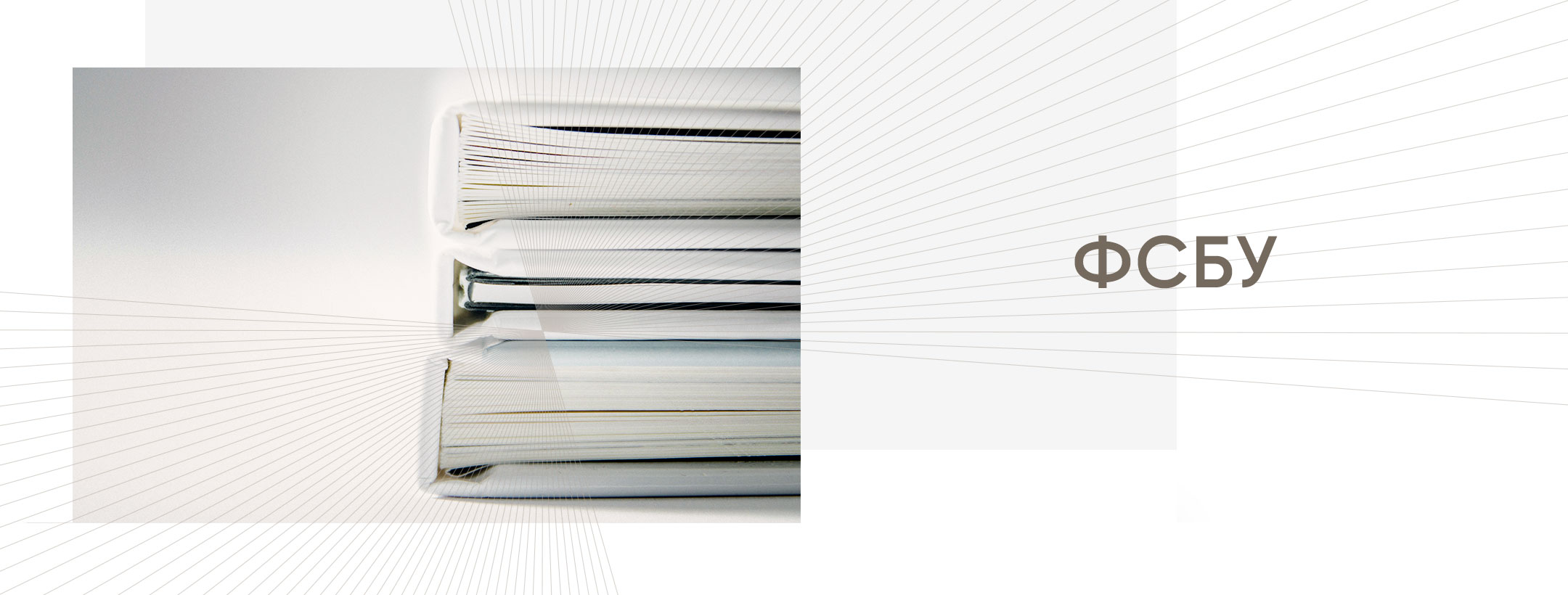 Минфин опубликовал проект новой программы разработки ФСБУ